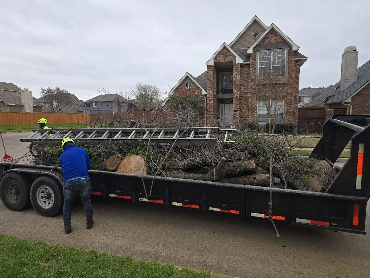 Expert Lot Clearing with proper safety equipment in Lima